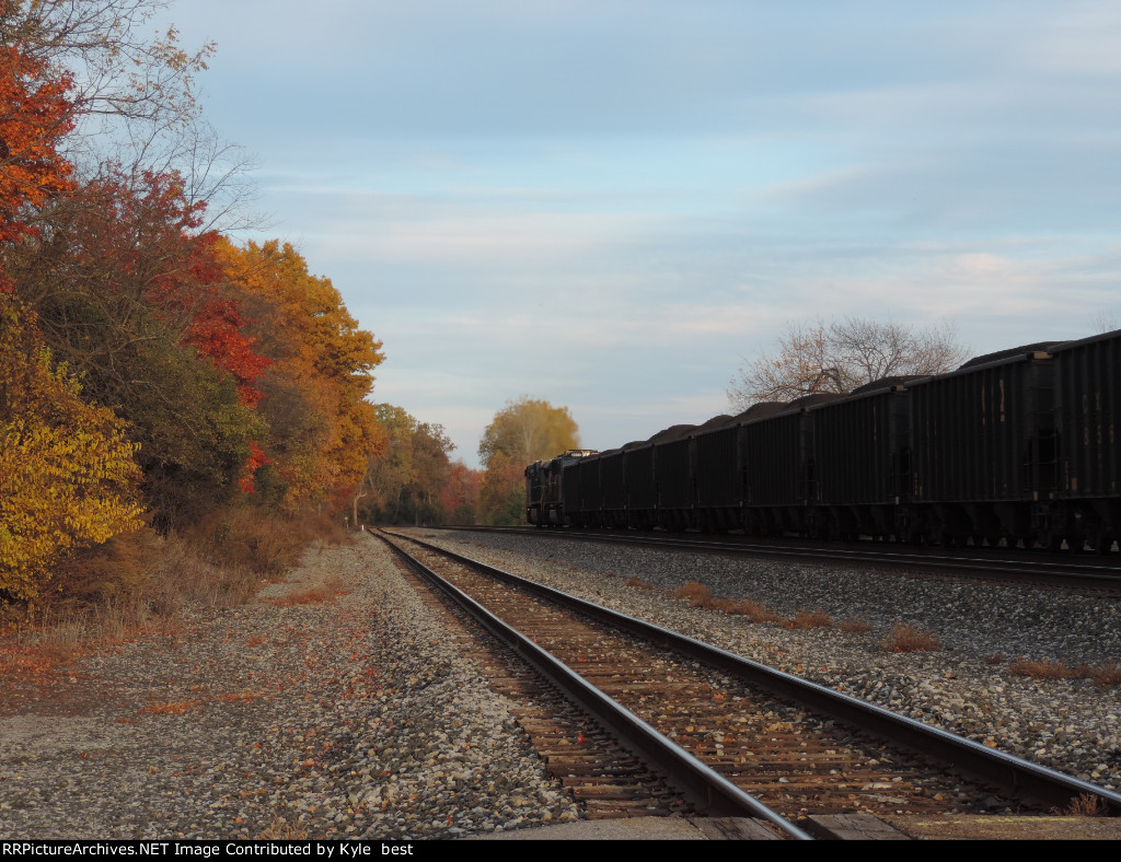 Coal and brilliant fall leaves 